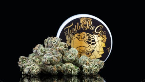 Turtle Pie Gelato X Flower - 3.5g