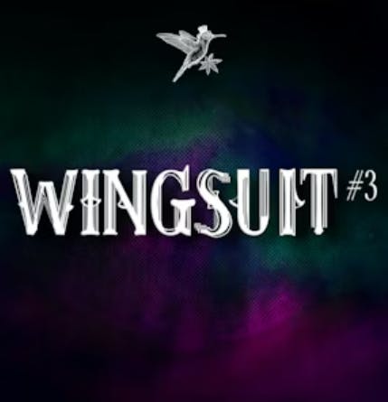 WINGSUIT # 3 | 7G