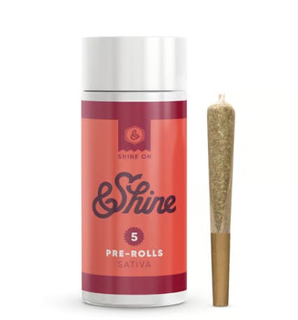 DURBAN Z | 2.5G | 5PK - 2.5g | Pre Rolls | &SHINE | at Nirvana