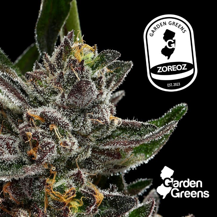 green garden FlashYamaki D-126 牛骨サドル ZOREOZ | 3.5G - 3.5g | Flower | GARDEN GREENS | at Nirvana