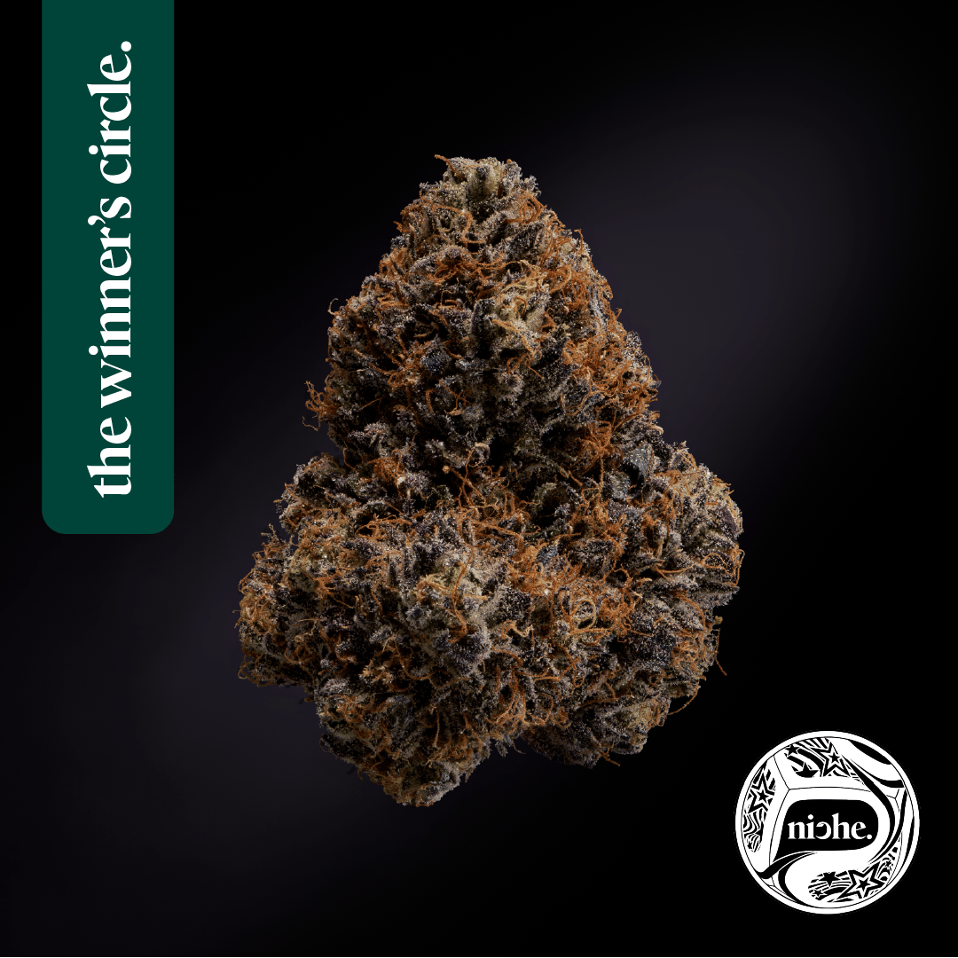 RIDGELINE LANTZ | 3.5G | WINNER'S CIRCLE - 3.5g | Flower | NICHE