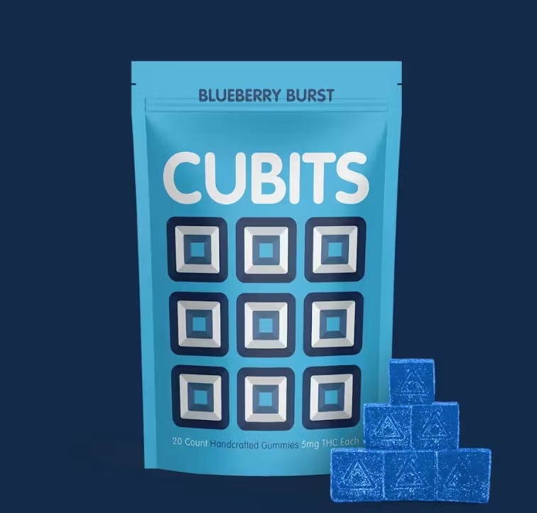 Blueberry Burst | 20 Pack | 100mg