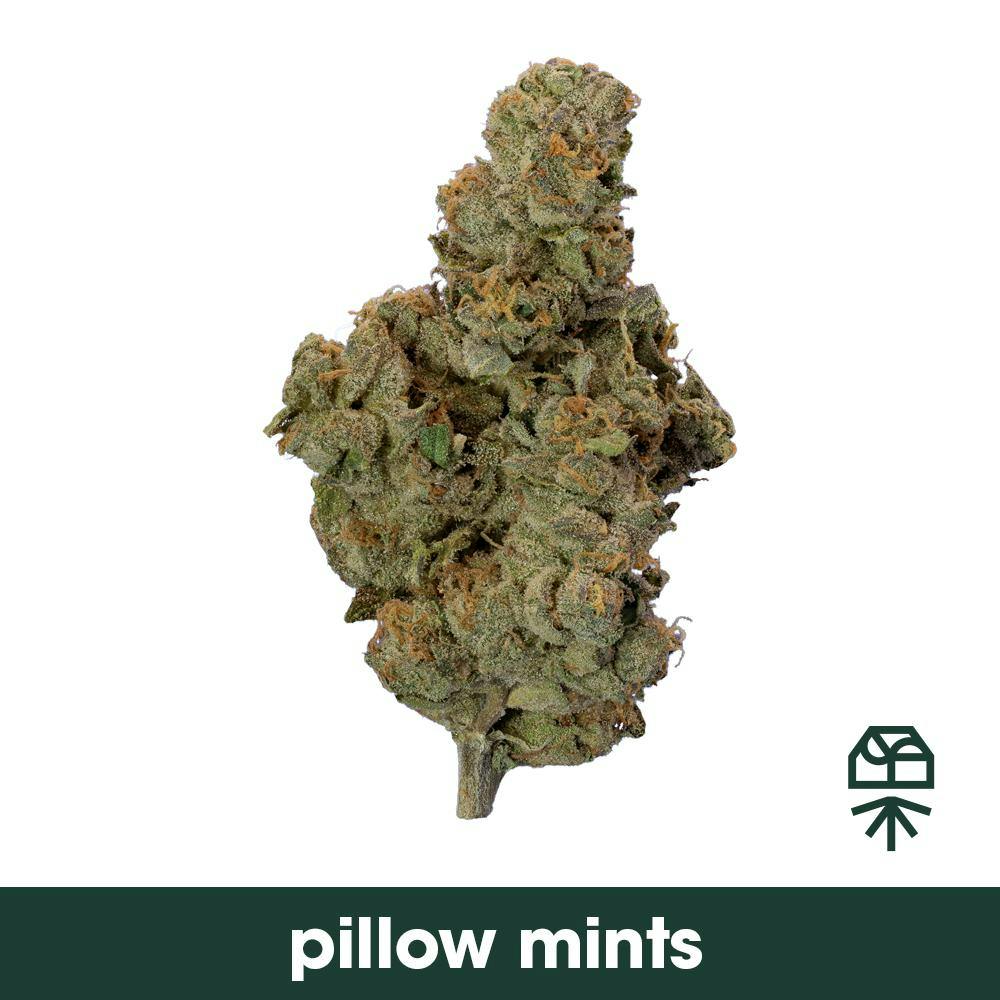 Pillow Mints | Whole Flower | 3.5g