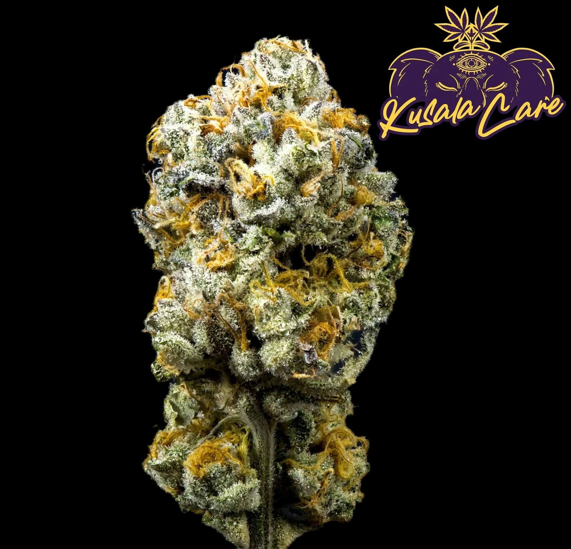 Gary Payton | Flower | 3.5g
