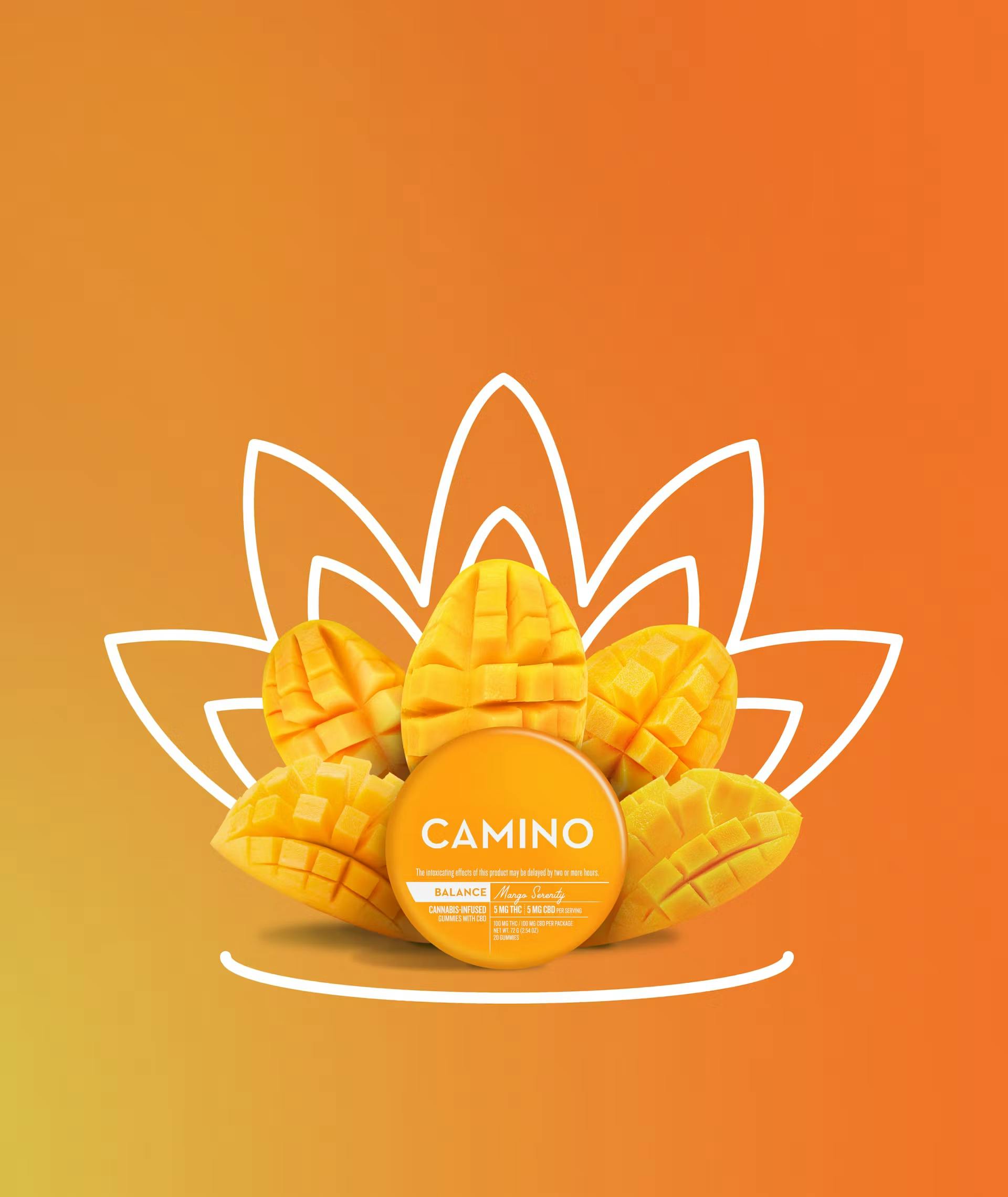 Mango Serenity "Balance" 1:1 THC:CBD | 20pk | 100mg