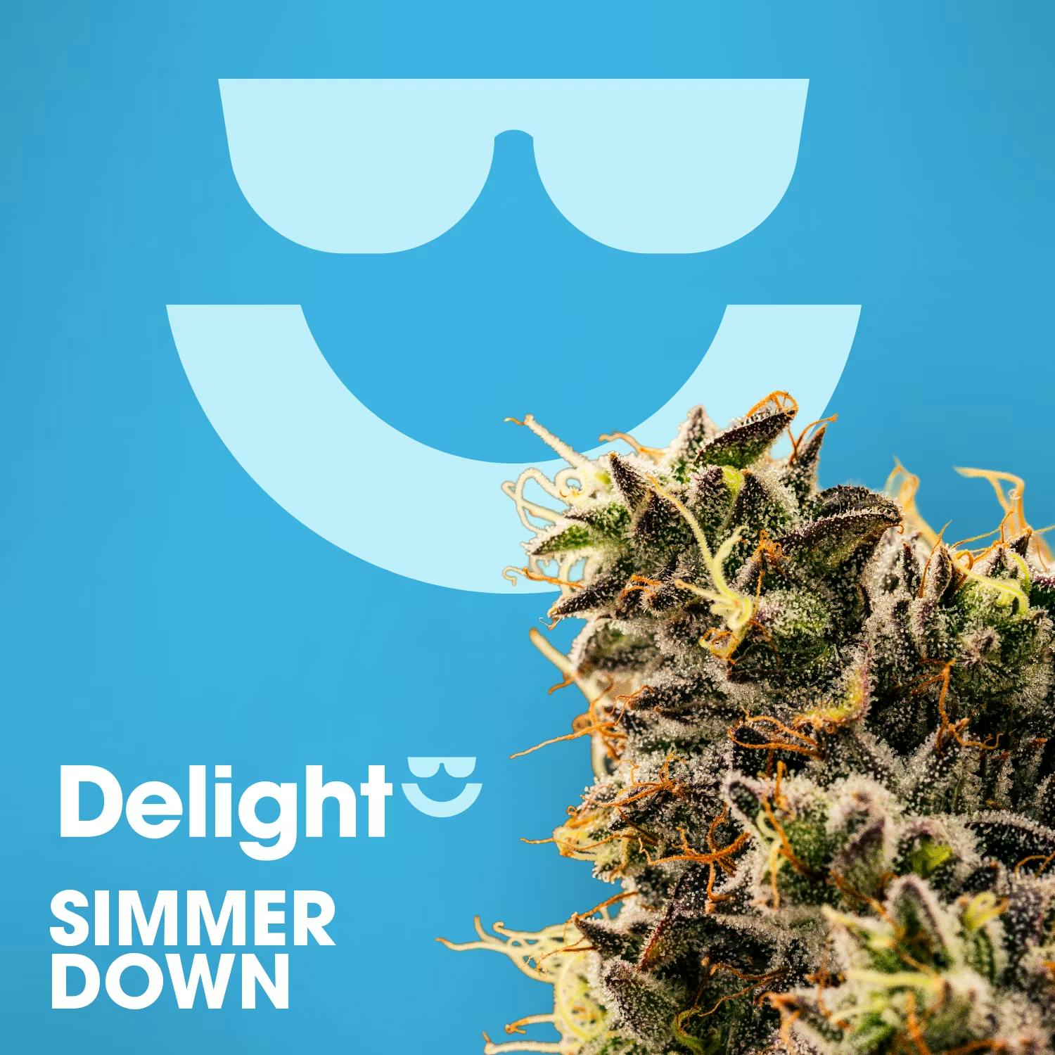 Simmer Down | Flower | 3.5g