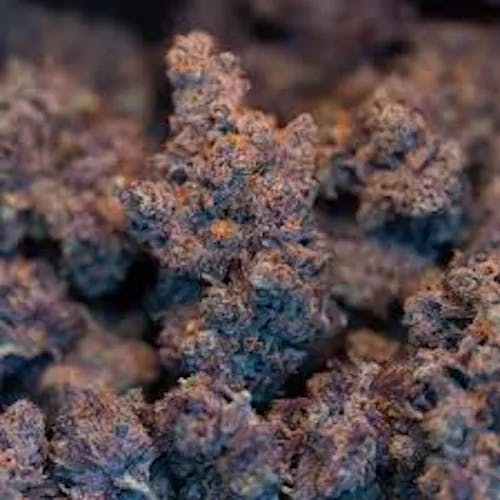 Roman's Candy Apple | Flower | 3.5g