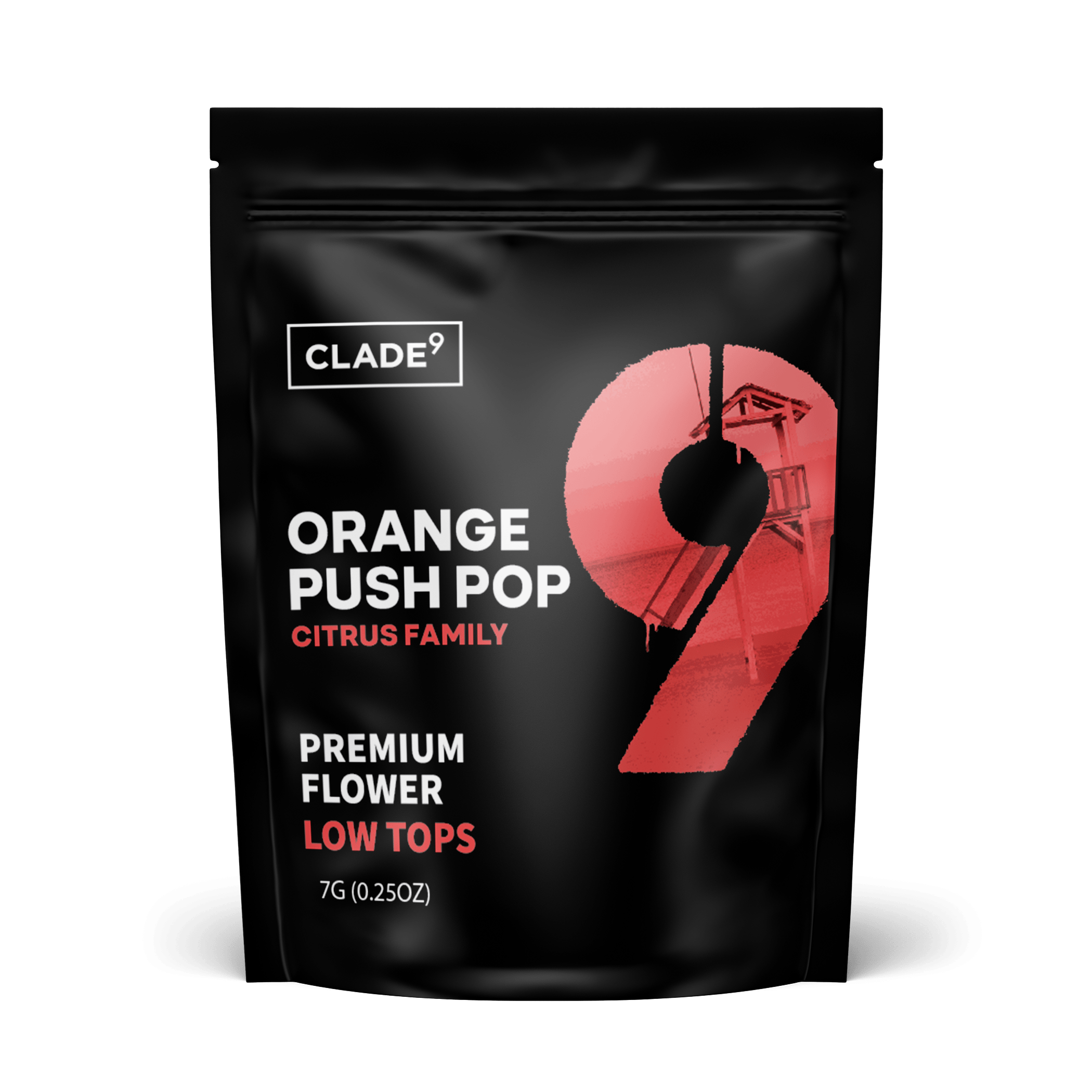 Orange Push Pop | Flower | 7g