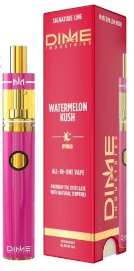 Watermelon Kush | Disposable | 2g