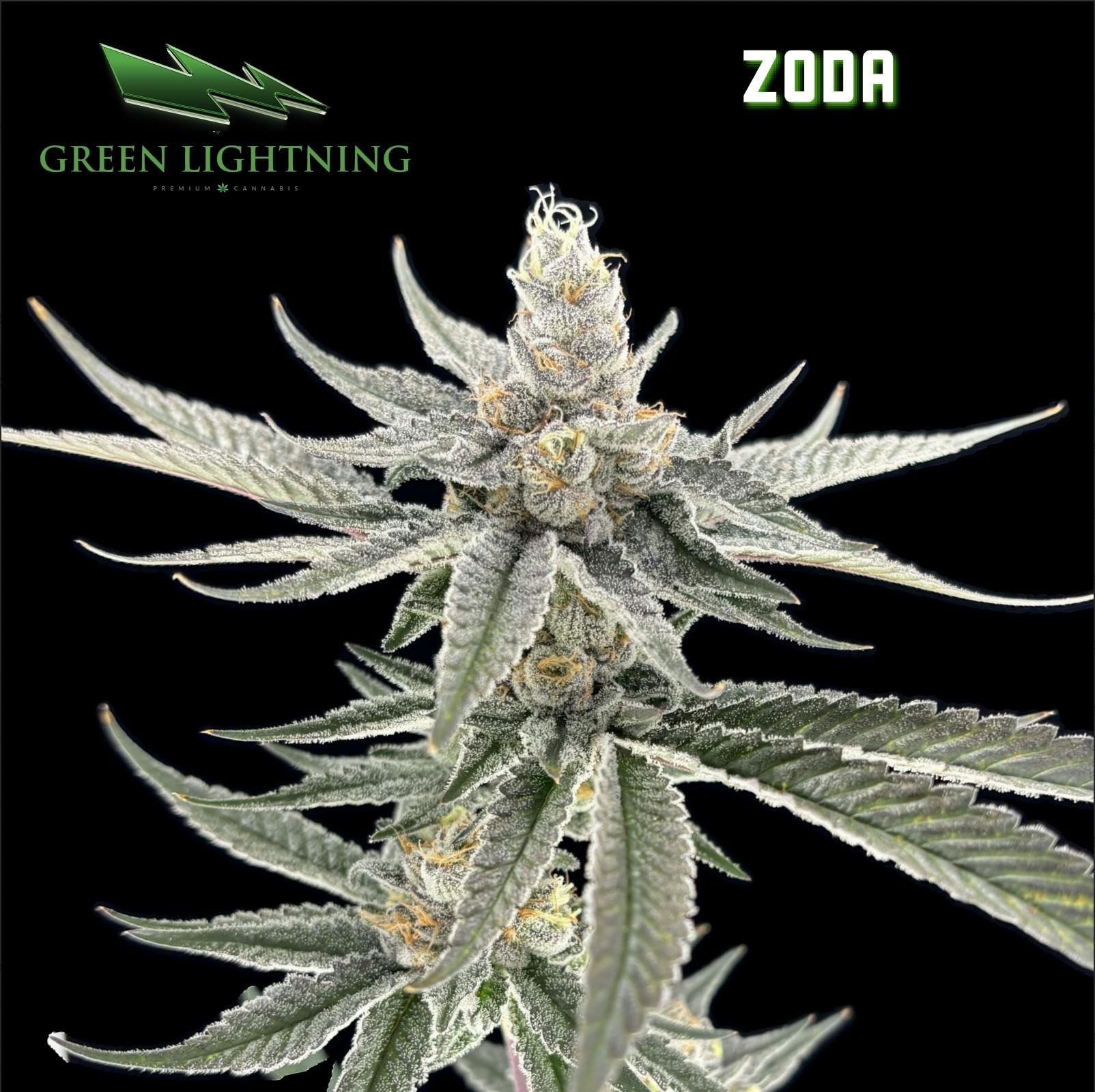 Zoda | 3.5g