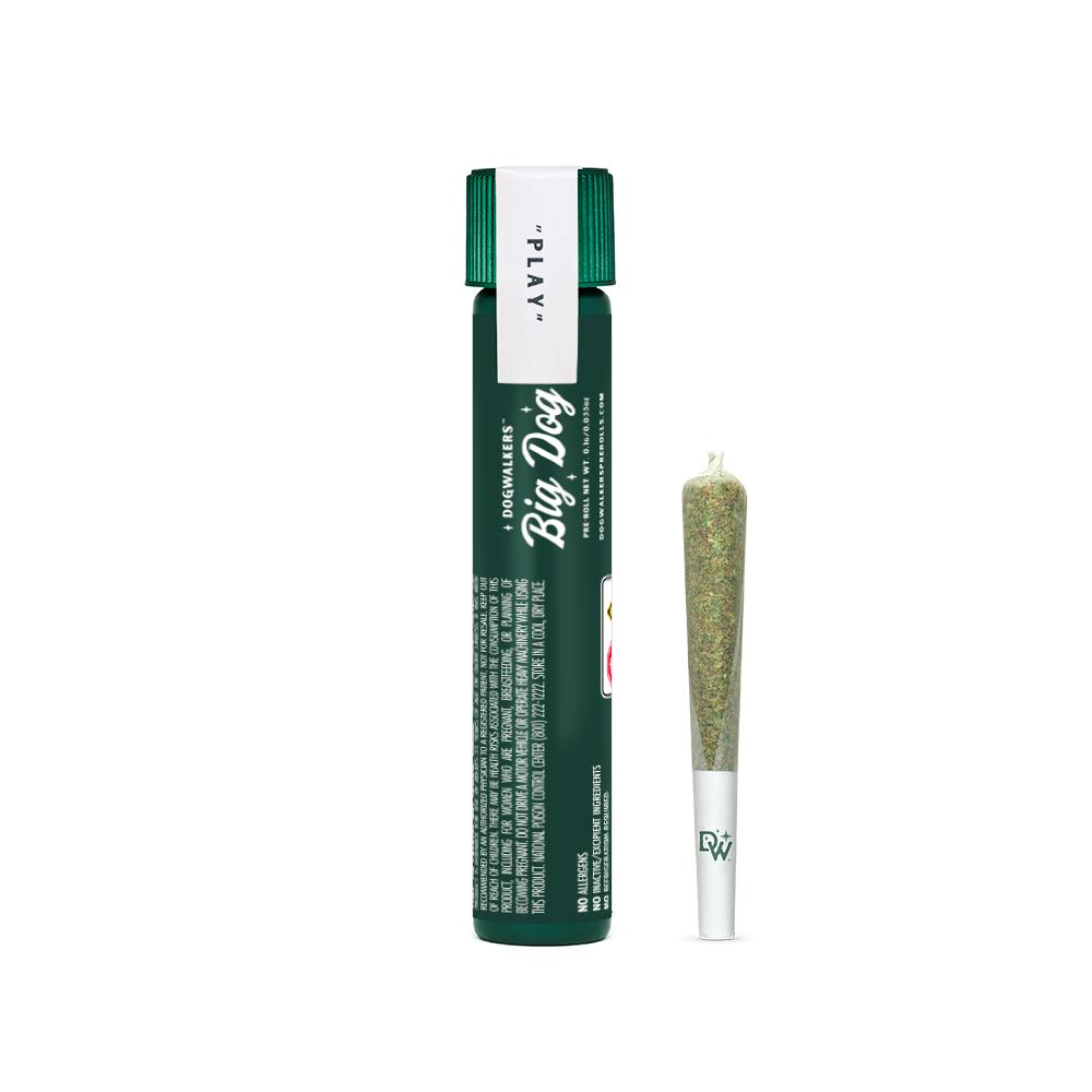 Dogwalkers | White Durban (Play) | Pre-Roll | 1g