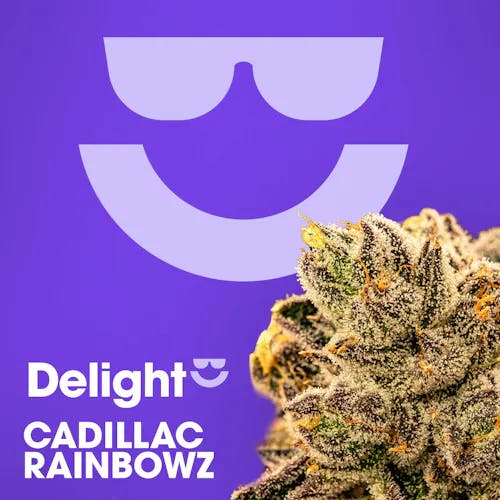 Cadillac Rainbowz | Flower | 3.5g