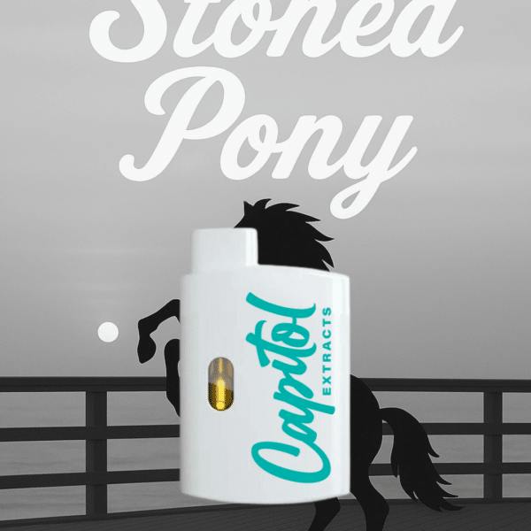 Stoned Pony