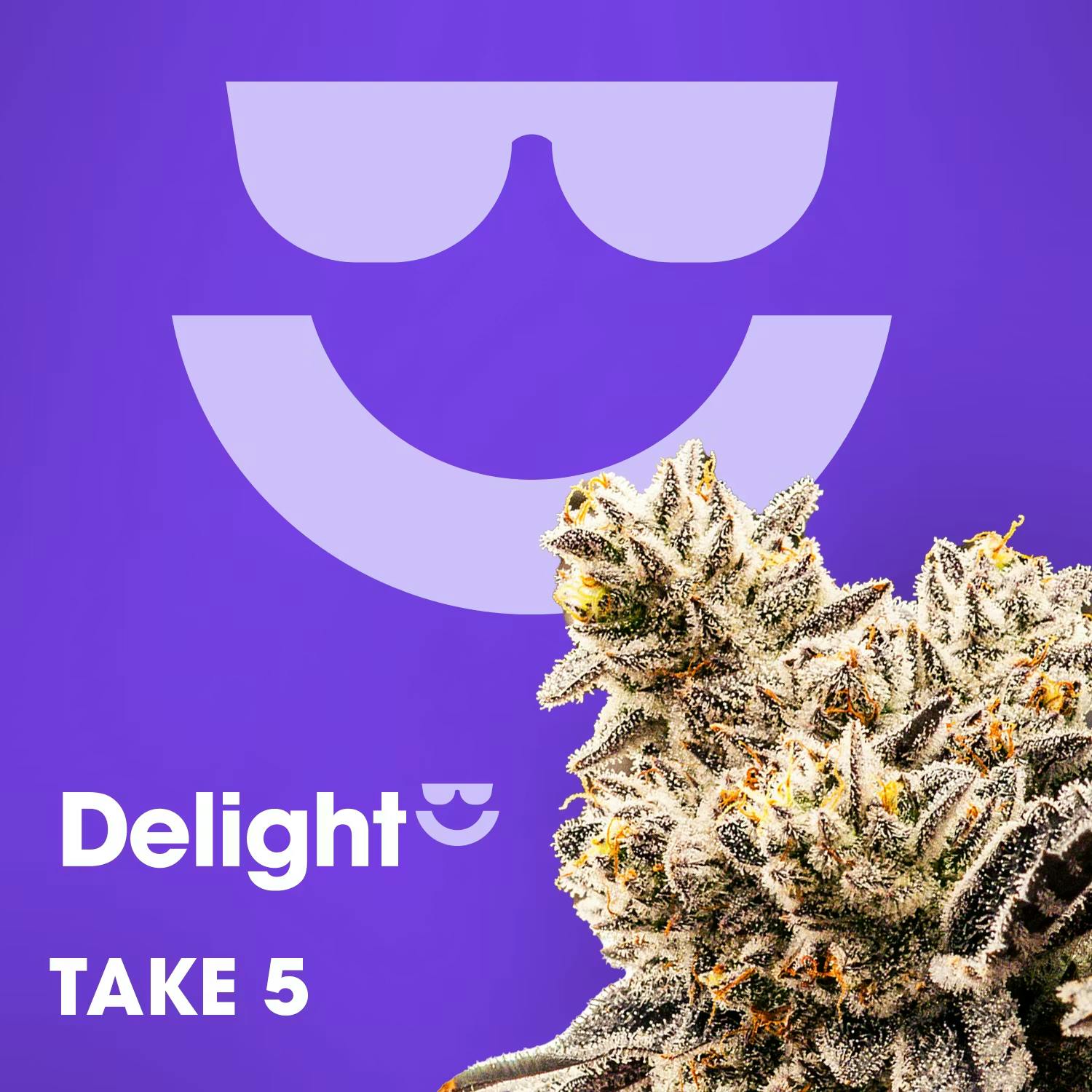 Take 5 | Flower | 3.5g