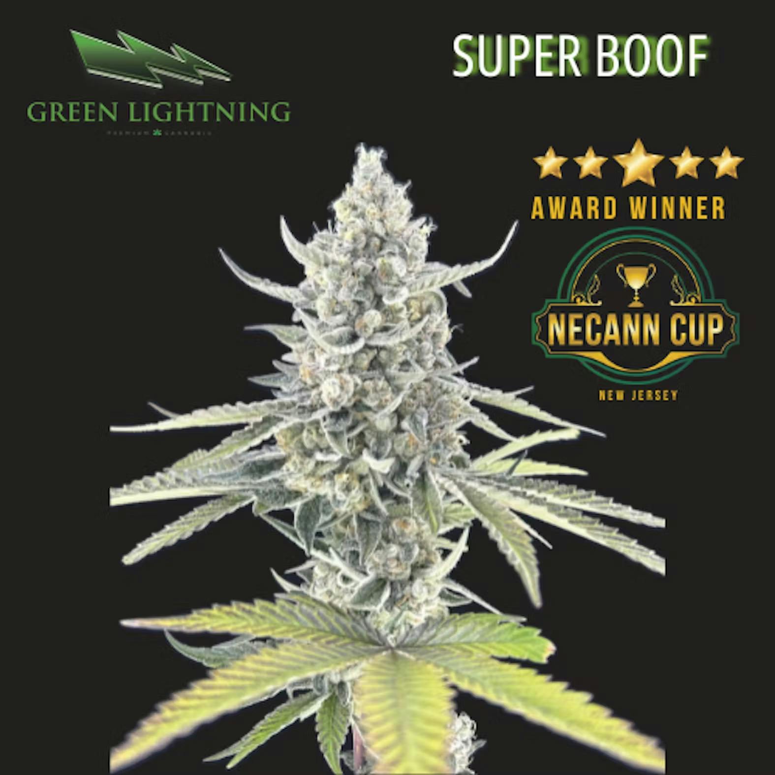 Super Boof | Flower | 3.5g