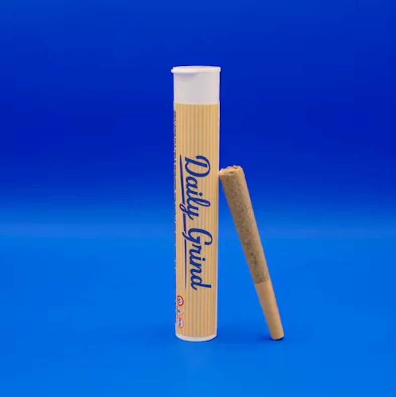TNT | Pre Roll | 1g
