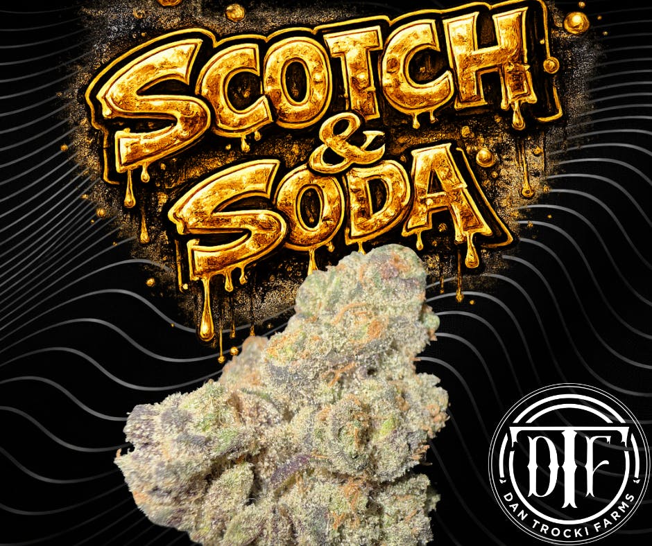 Scotch & Soda | Flower | 3.5g