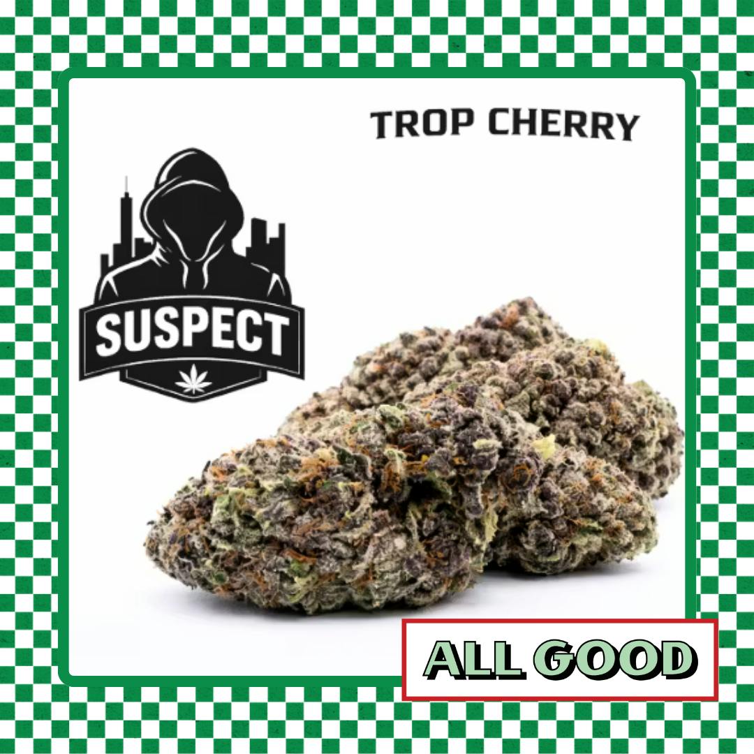 Suspect | Trop Cherry | Flower | Sativa | 2g