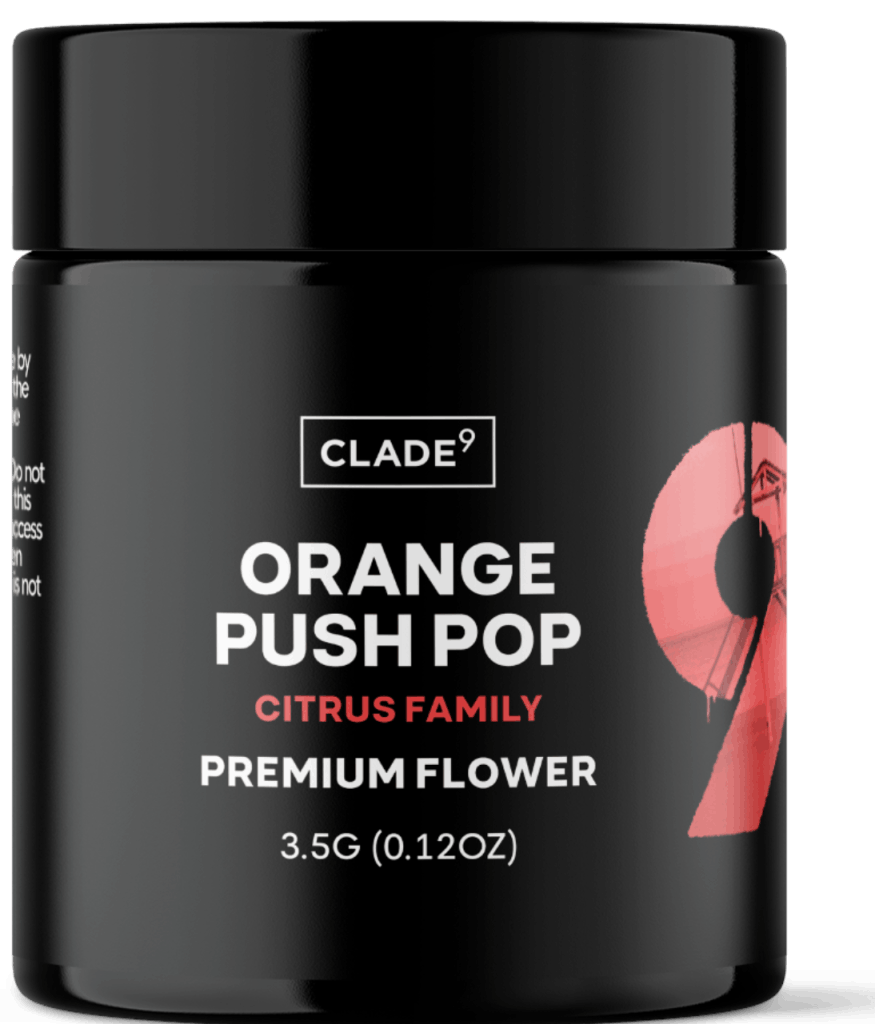 AU - Orange Push Pop 3.