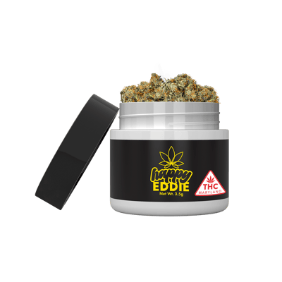 AU - Happy Eddie | Loompas Headbands 3.