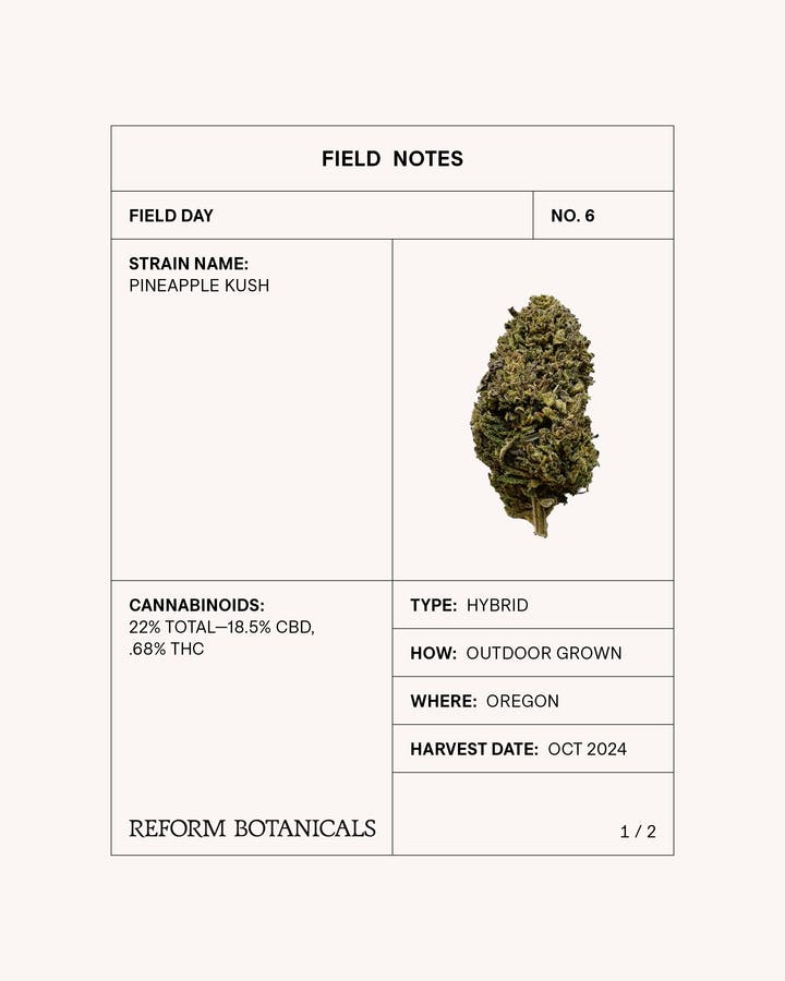 Reform Botanicals | Pineapple Kush CBD | Flower | Hybrid | 3.5g