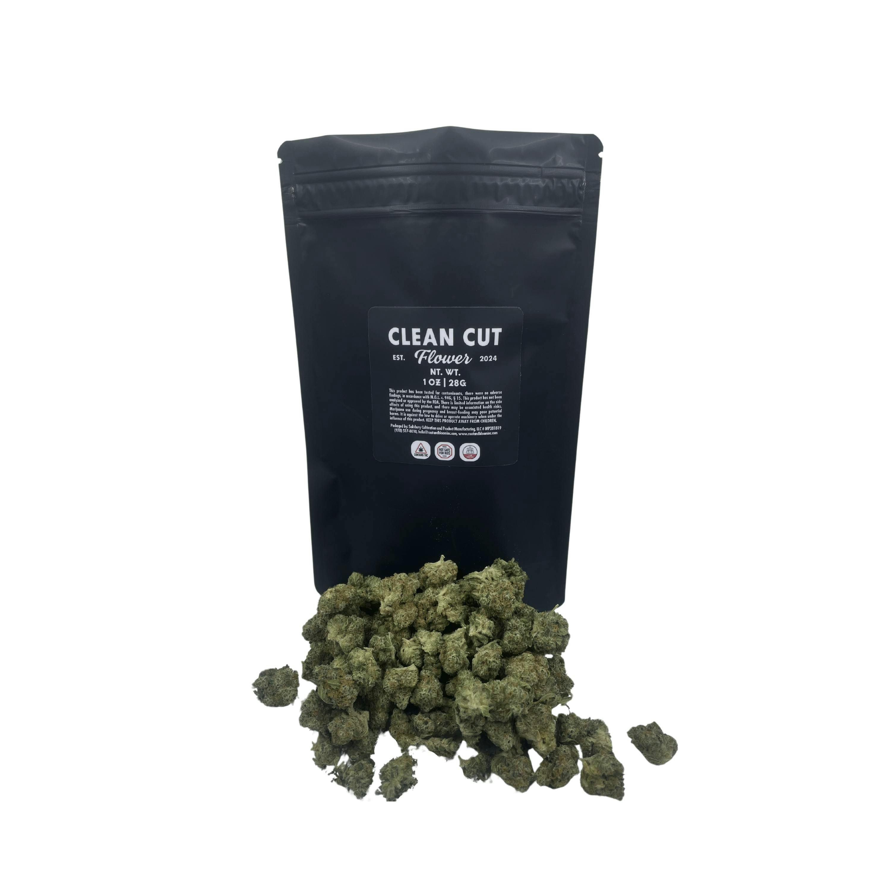 G13 Haze x Somango 28g - 28g in Hudson