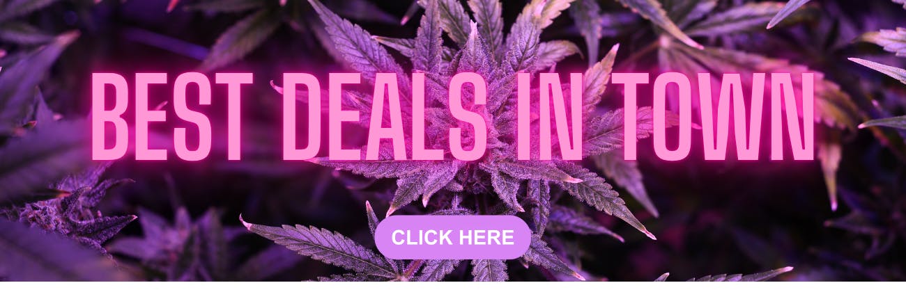 Best deals