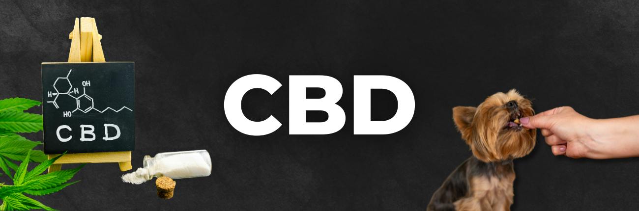 CBD