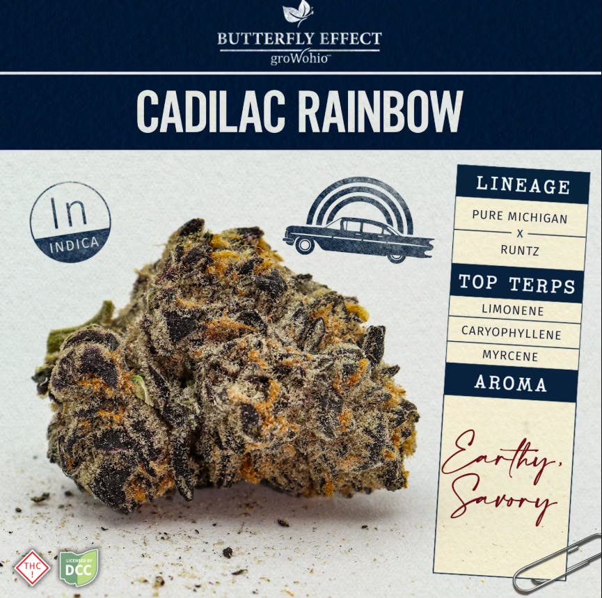 Cadilac Rainbow Living Soil | 2.83g