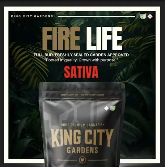 Fire Life GOLD | 2.83g