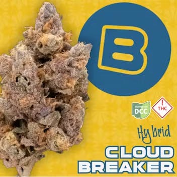 Cloud Breaker SMALLS | 14.15g