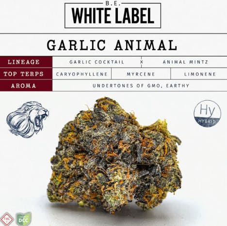Garlic Animal BUDLETS | 14.15g