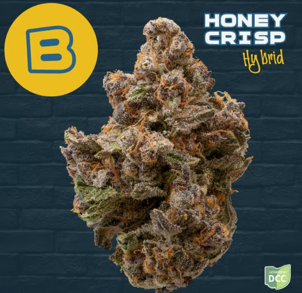 Honey Crisp
