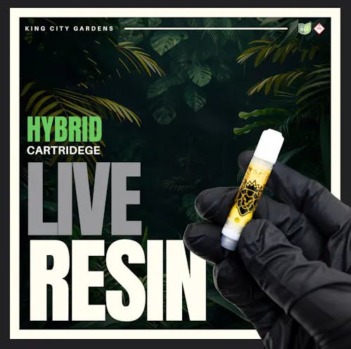 Orange Sherb Live Resin | 1g