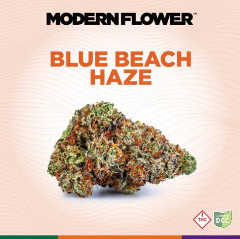 Blue Beach Hz