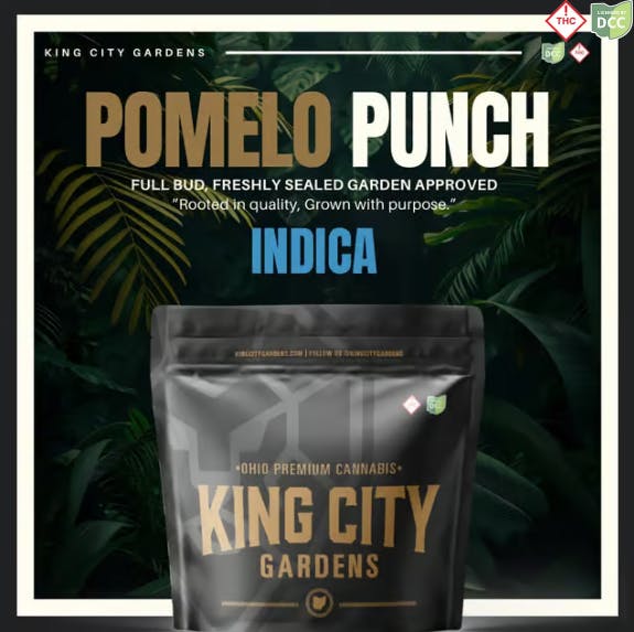 Pomelo Punch GOLD | 3.5g