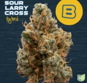 Sour Larry Cross