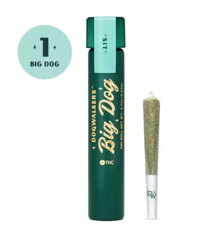 Banana Cream Pre-Roll | 1g