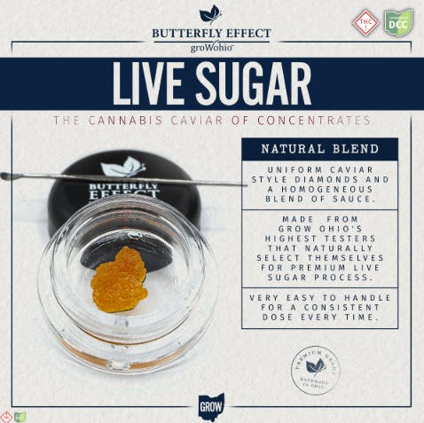 Humboldt Dream Live Sugar | 0.85g