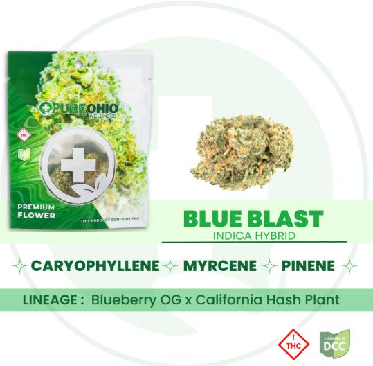 Blue Blast