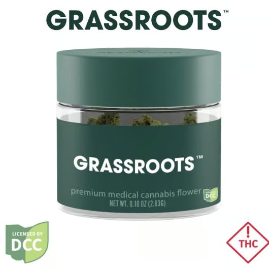 Tiki Cream