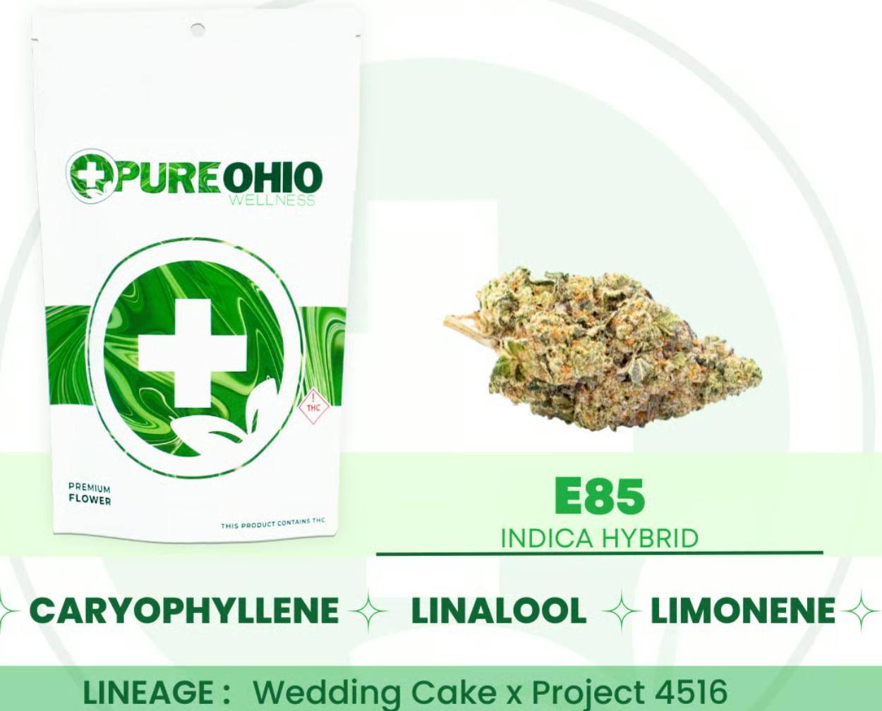 E85