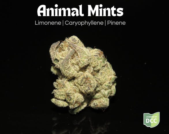 Animal Mints | 14g