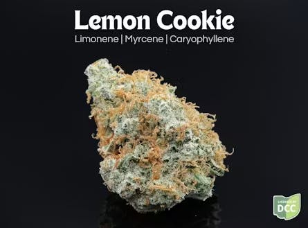Lemon Cookie