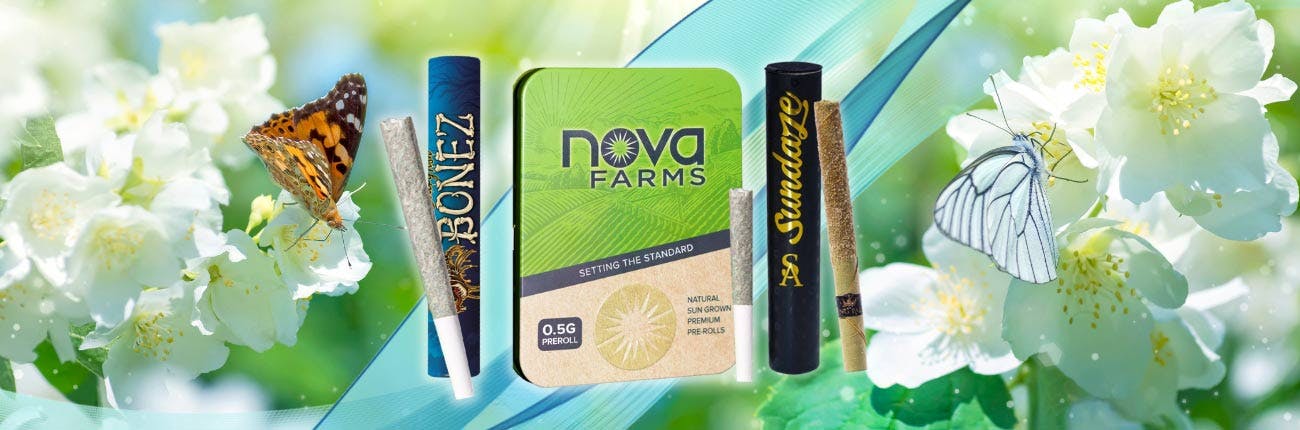 Pre-Roll Banner - Sundaze, Bonez, & 5Pk - 2023