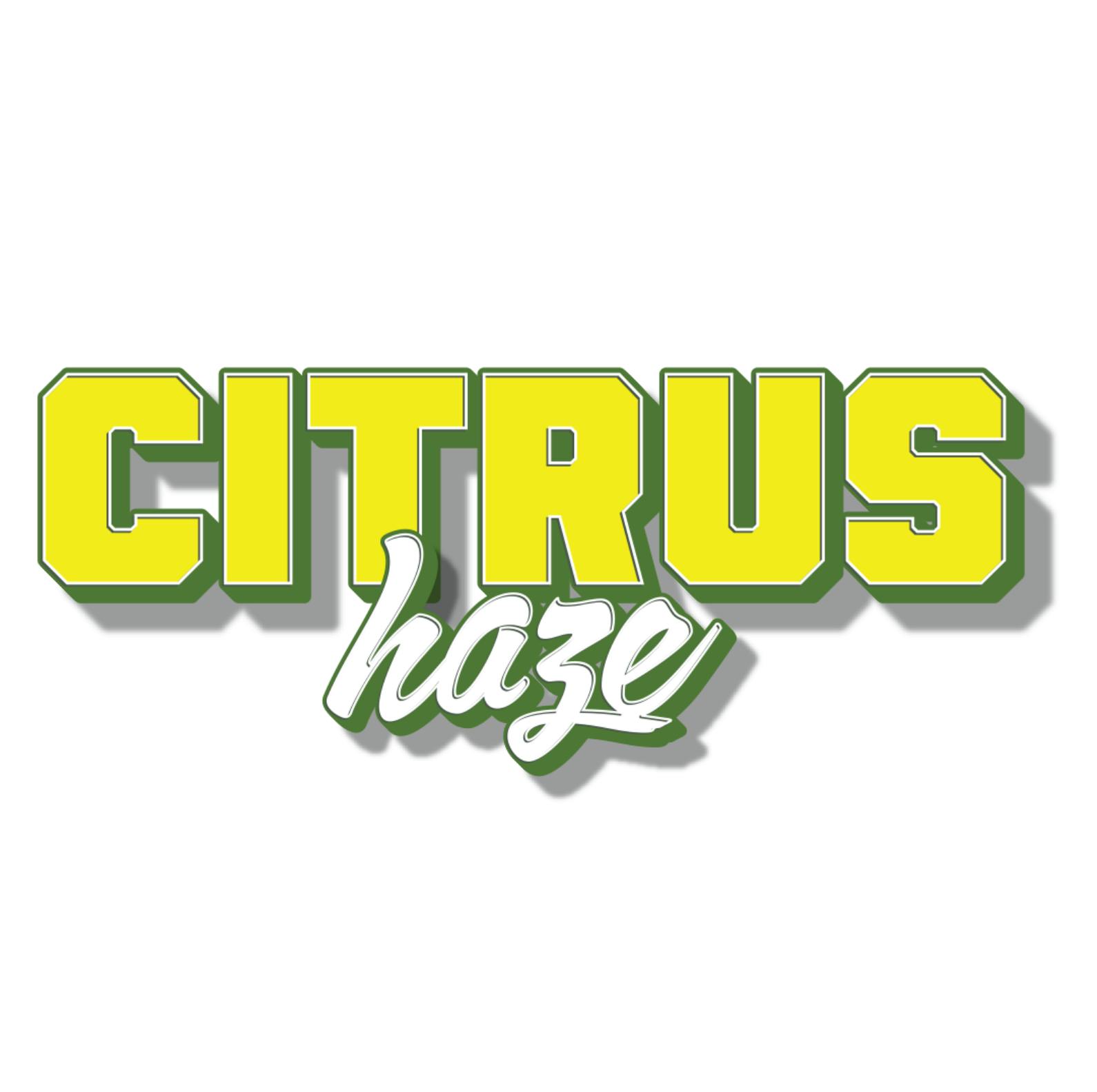 Craft Kings Citrus Haze Flower - 7g
