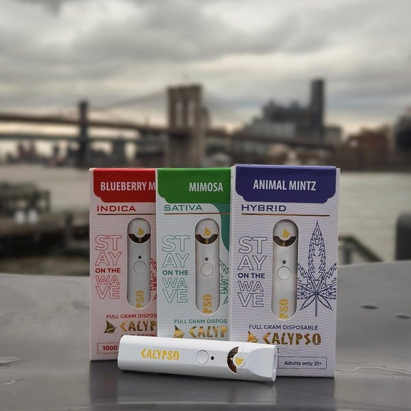Calypso | Green Crack | AIO | Sativa | 1g