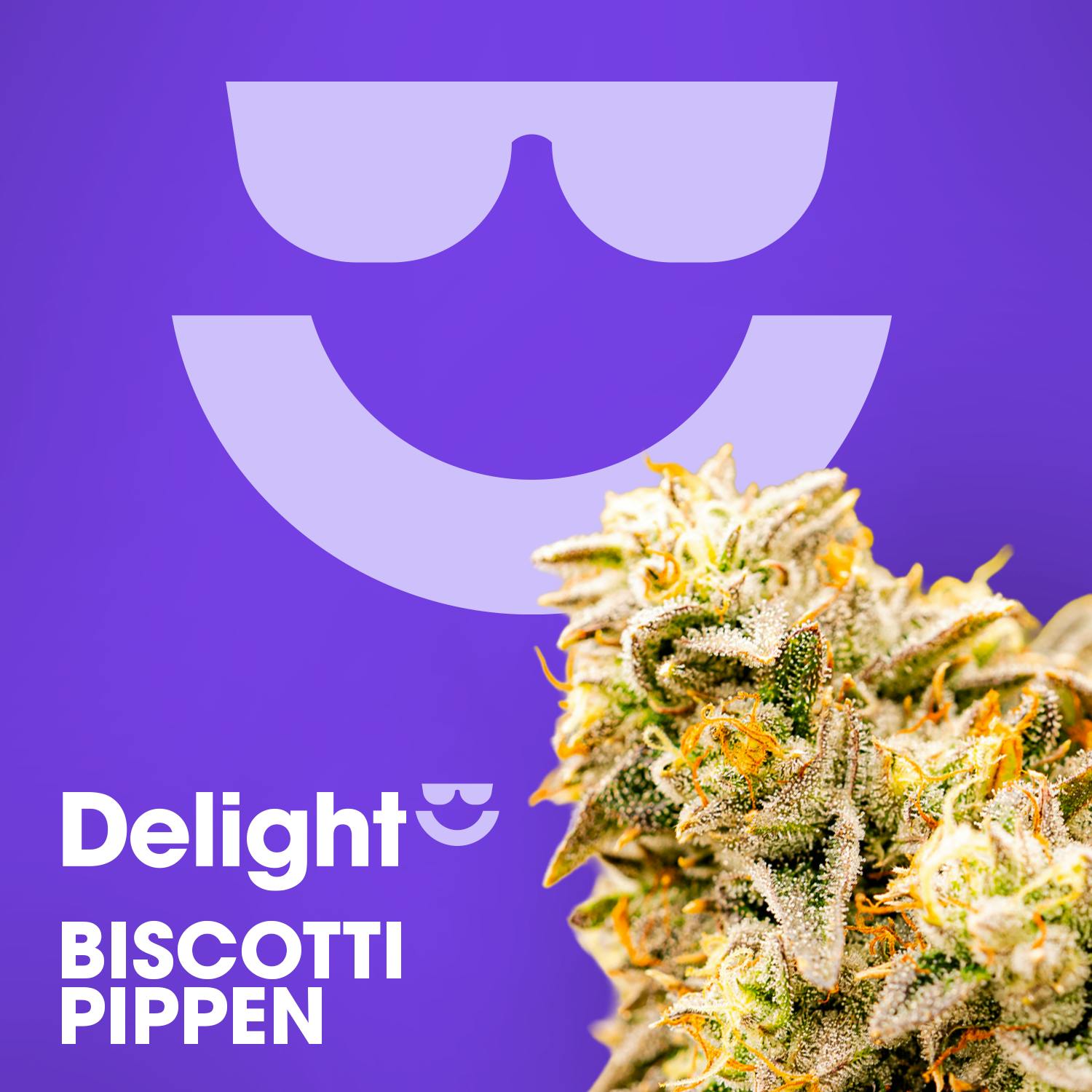 Biscotti Pippen | 3.5g Flower