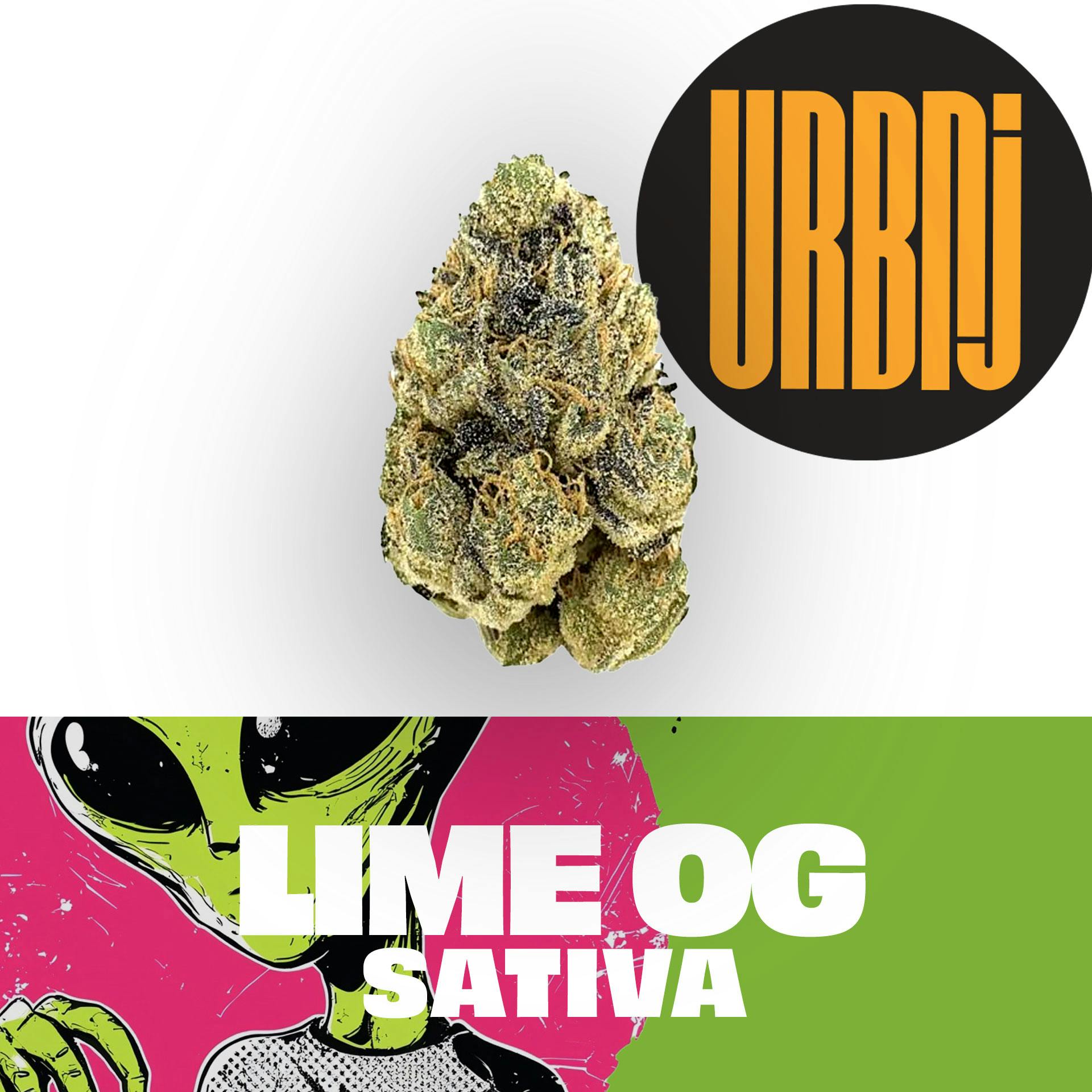 URBNJ -  Flower - Lime OG