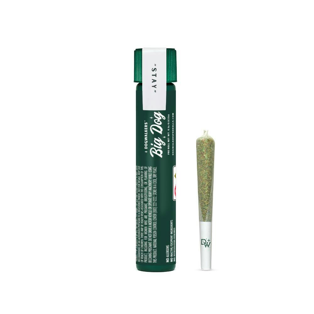 Brownie Scout | 1g Preroll